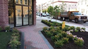 Commercial landscaping Bergen County NJ 72 DPI