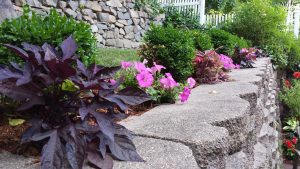 Rockwall garden retaining wall Pics 3271
