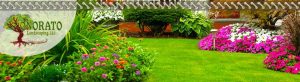 aboutus banner1