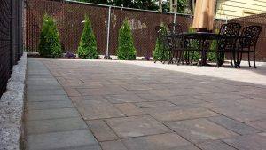 patio shurbs bergen county Pics 3234