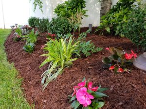 Beautiful landscaping in Edgewater NJ