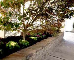 commercial landscaping in Edgewaer NJ