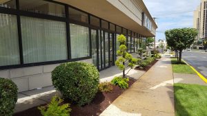 commercial landscaping in Fort Lee NJ