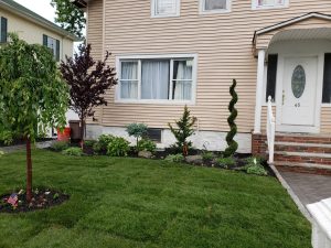 fron yard landscaping in Fidgefield NJ