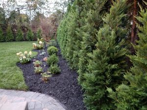 landscaping garden with green privacy fence in Closter NJ