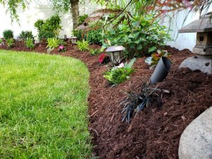 landscaping in Demerast NJ