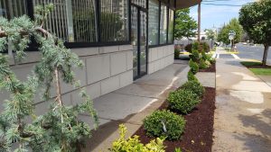 Comercial landscaping in fornt of building in Fort Lee Nj