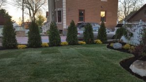 Landscape desing job in Cliffside PARK NJ