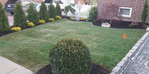 Landscape desing with green fence in Cliffside Park NJ