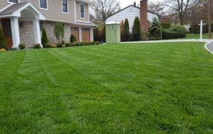 a beautiful lawm in Leonia Nj