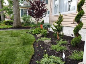 a beutifully desinged garden and sodded lawn in Ridgefield NJ