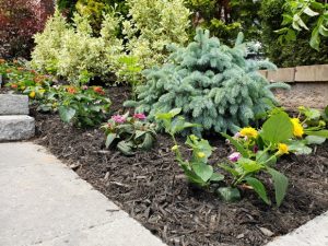 a garden and retaining wall in Demarest NJ