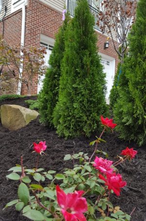 a green fence with a garden in front of it in Edgewater NJ