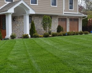 a landscaping and lawn maintenance job in Englewood Cliffs NJ 2