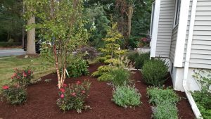 a landscaping job in Ridgefield NJ 2