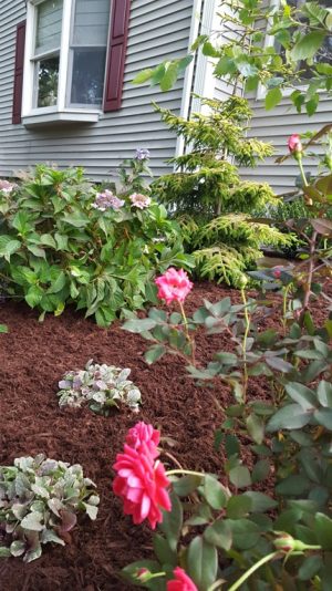 a landscaping job in Ridgefield NJ
