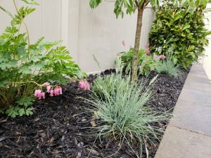 a landscped garden in Englewood NJ