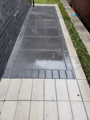 commercail landscaping job completed in Fort Lee NJ 13