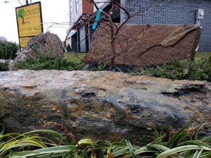 commercail landscaping job completed in Fort Lee NJ 14