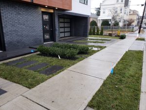 commercail landscaping job completed in Fort Lee NJ 3