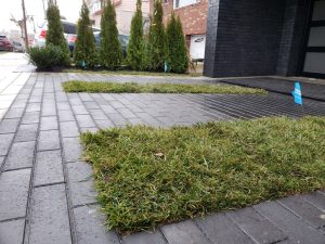 commercail landscaping job completed in Fort Lee NJ 4