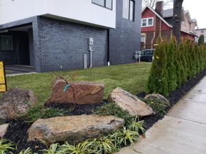 commercail landscaping job completed in Fort Lee NJ 7
