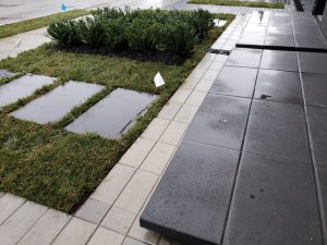 commercail landscaping job in progesss in Fort Lee NJ 6