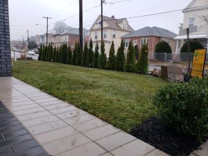 commercail landscaping job in progesss in Fort Lee NJ 7