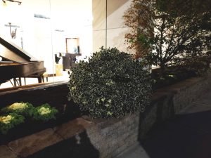 commercial landscaping at night in Fort Lee NJ