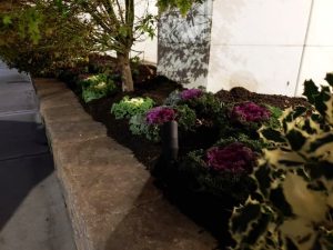commercial landscaping at night in Fort Lee Nj 10