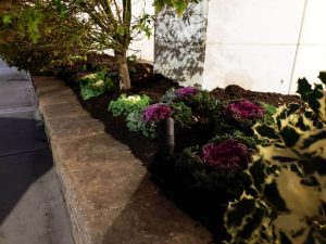 commercial landscaping at night in Fort Lee Nj 2