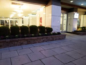 commercial landscaping at night in Fort Lee Nj 3