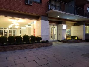 commercial landscaping at night in Fort Lee Nj 5