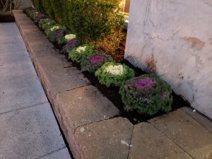 commercial landscaping at night in Fort Lee Nj 7