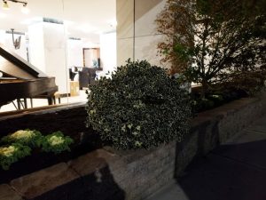 commercial landscaping at night in Fort Lee Nj 8