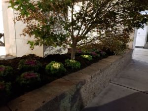 commercial landscaping at night in Fort Lee Nj 9