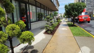 commercial landscaping in Fort Lee NJ 2