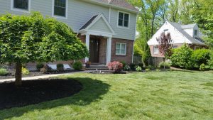 landscape design and sodding in Englewood Cliffs NJ