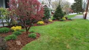 landscape design in Fort Lee NJ