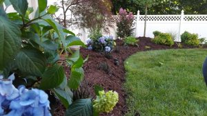landscape design in River Edge NJ