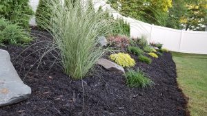 landscape design job in Cresslill 3