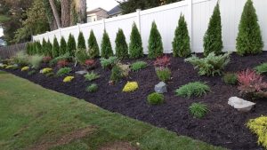 landscape desing job in Cresslill 2