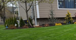 landscaping and lawn maintenance in Englewood Cliffs NJ