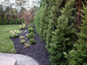 landscaping in Englewood Cliffs NJ 2