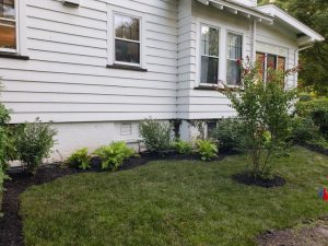 landscaping incliffside Park NJ