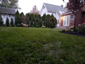landscaping sodding and green fence in Closter NJ 2