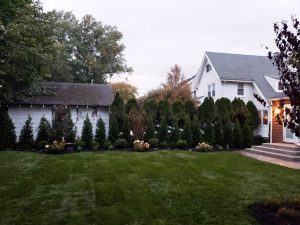 landscaping sodding and green fence in Closter NJ