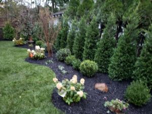 landscaping sodding and green fence in Englewood Cliffs NJ