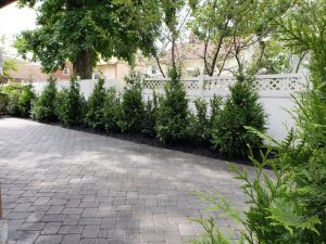 patio landscaping and fencing in Palisaides Park 2