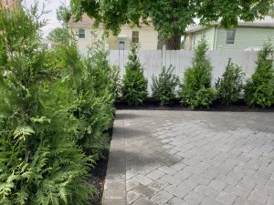 patio landscaping and fencing in Palisaides Park 4